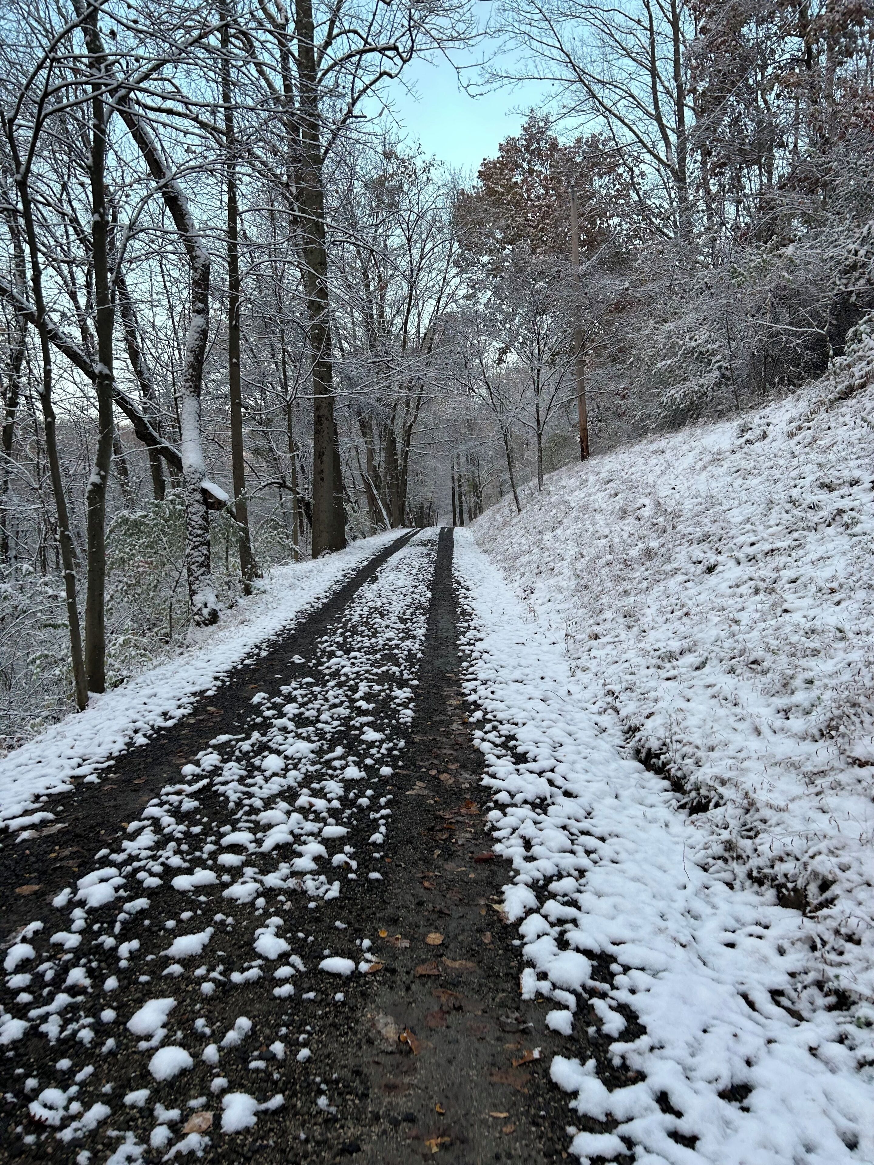 A snow-covered path flanked by trees.