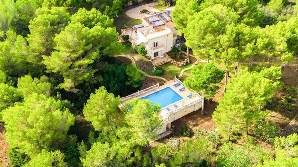 Vista aérea de una villa rodeada de árboles verdes frondosos, con piscina y paneles solares en el techo.