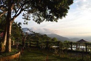 Exterior - Finca San Antonio (Pluma Hidalgo)