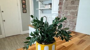 A wooden kitchen island with a potted plant. - Reno'd 5Pts Buffalo Gem - Parking/Walkable with WiFi and AC (Buffalo)