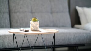 Un tavolo rotondo con una pianta grassa in vaso dal motivo geometrico, un libro e un telecomando. Il tavolo è su un pavimento con un divano grigio e un cuscino bianco sullo sfondo.