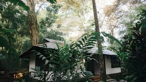 A small, rustic cabin surrounded by dense forest.