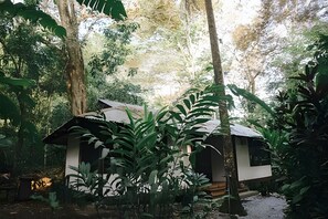 Bungalow | Extérieur