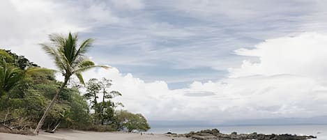 Bungalow | Plage | Sur la plage