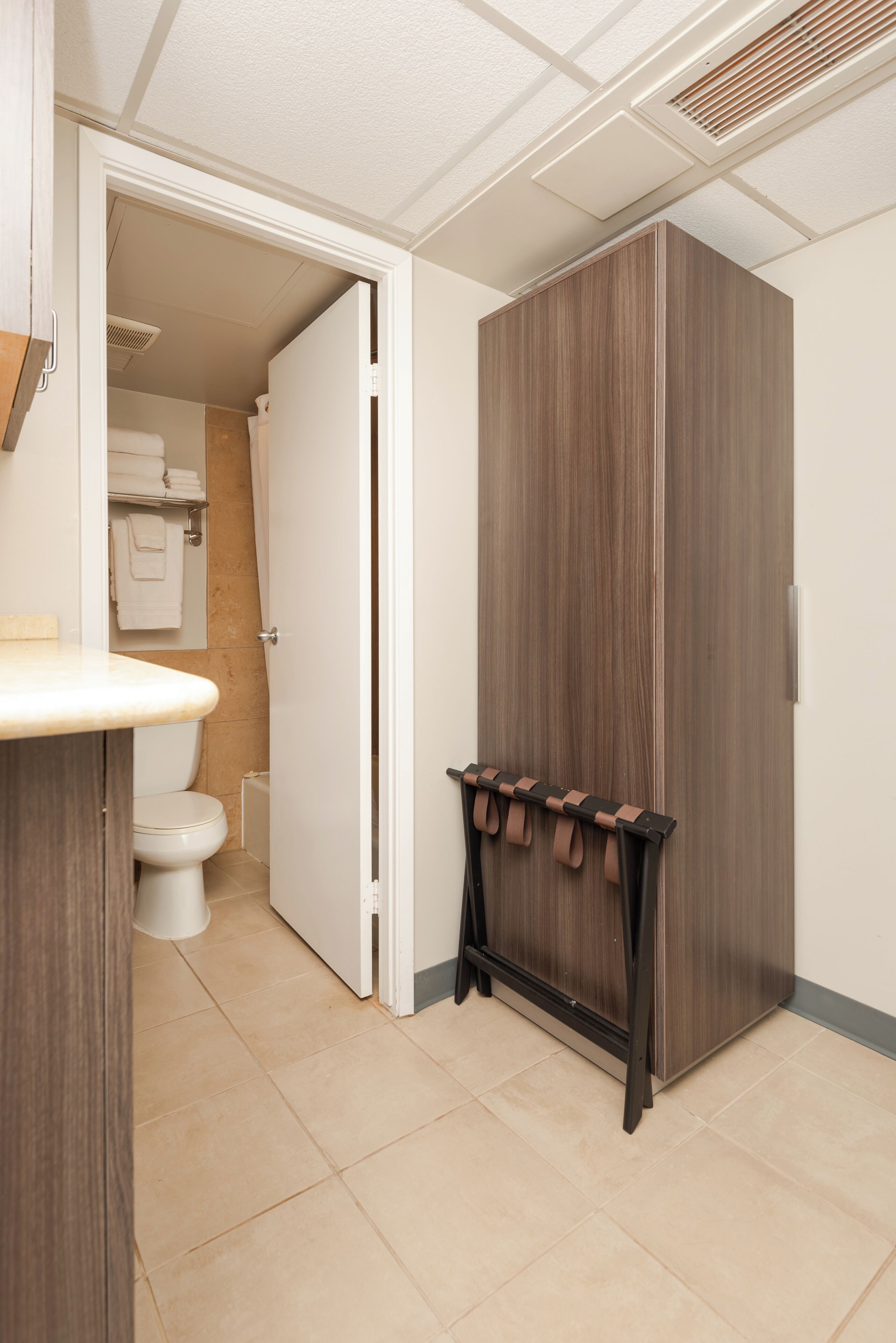 A bathroom with a toilet, a towel rack, and a cabinet.