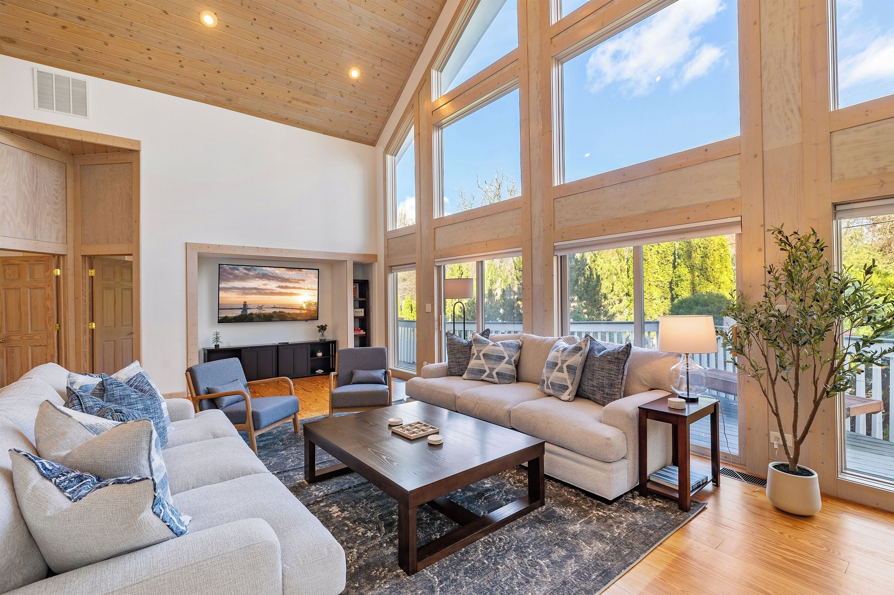 Smart-tv och eldstad