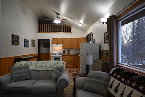 TV, DVD player, books, video library