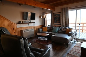 TV, DVD player, books, video library
