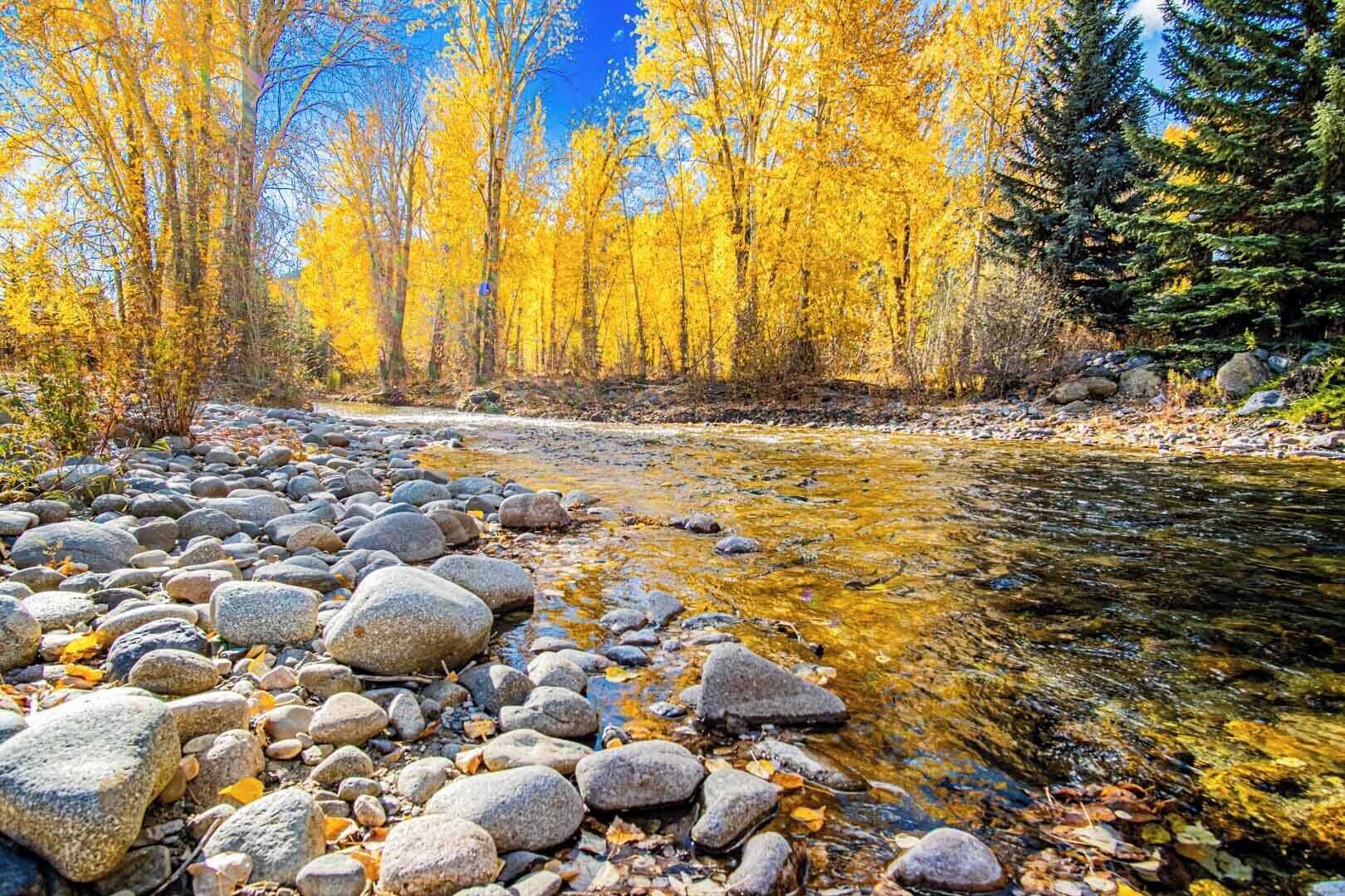 Un río de aguas cristalinas, rodeado de rocas y árboles con hojas amarillas.