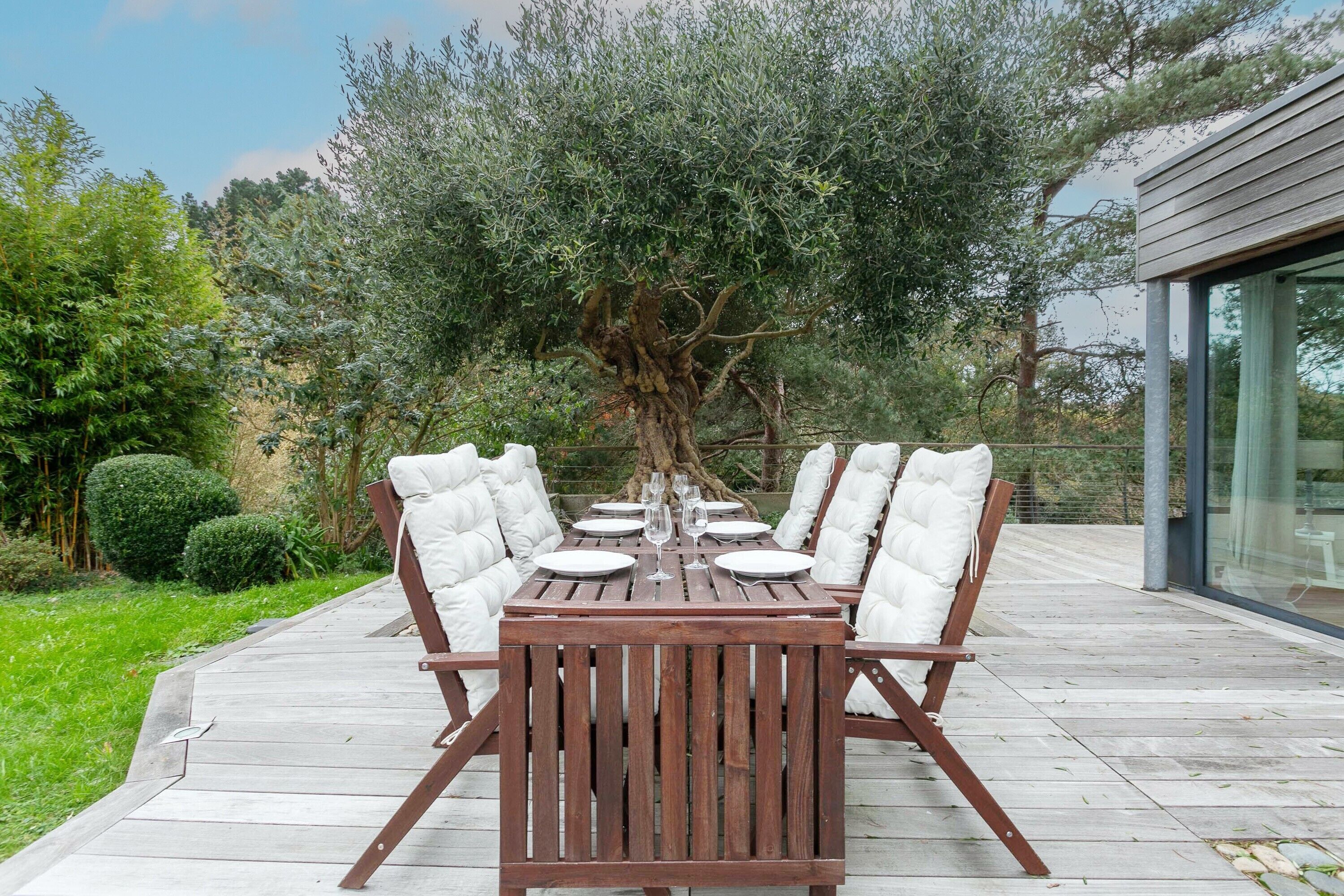 An outdoor dining area with a wooden table and white cushioned chairs, surrounded by greenery and a tree.