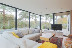 Televisión, chimenea