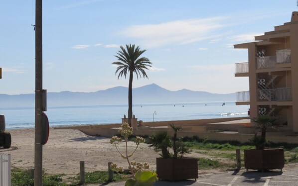 A beach view with a palm tree, a building with balconies, and mountains in the distance.