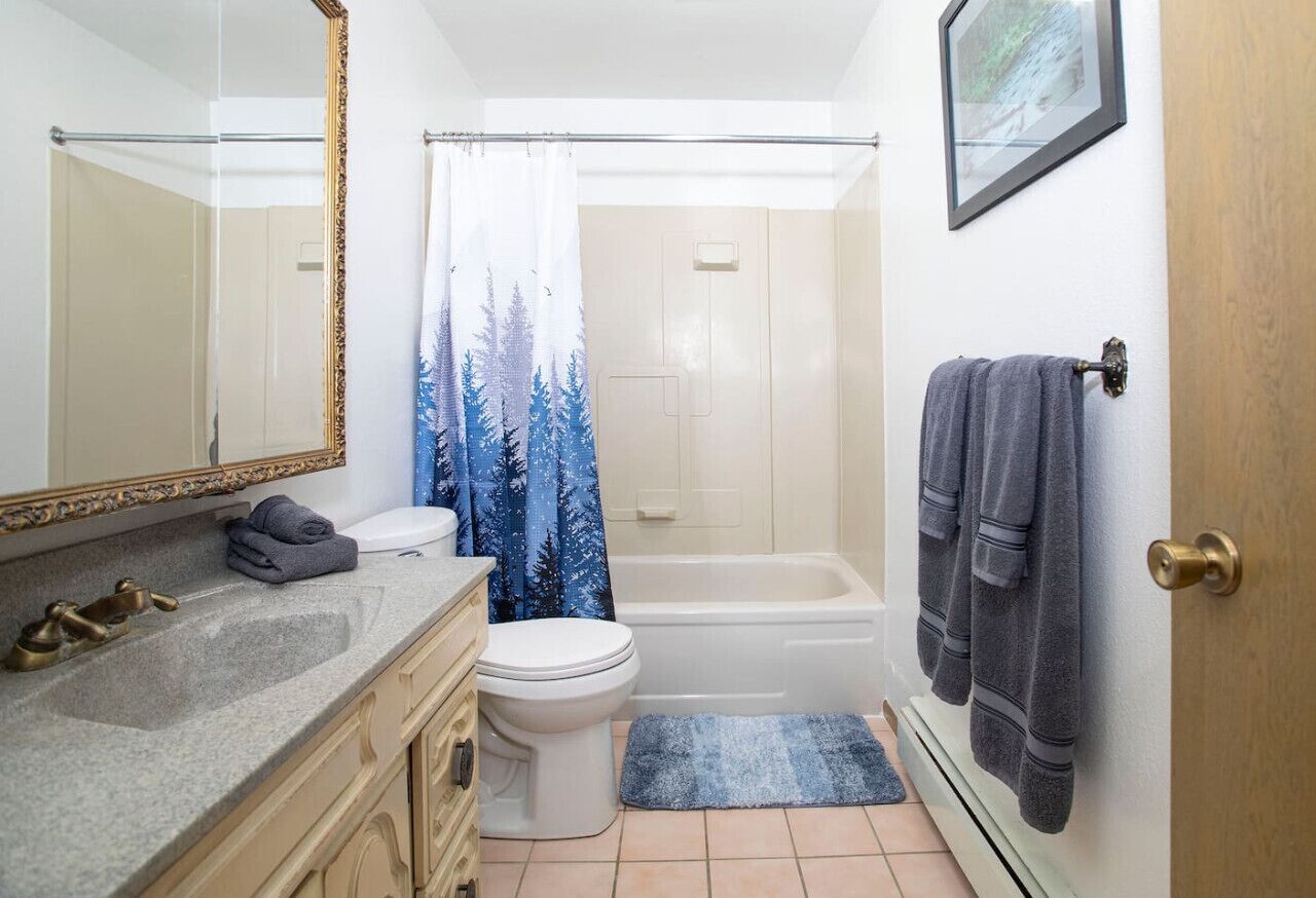 Een haardroger, handdoeken