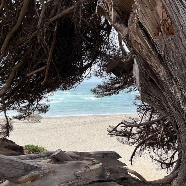 Plage à proximité