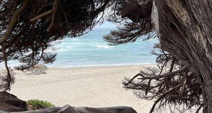 Sea Ranch in Fort Bragg w/ Hot Tub & Game Room