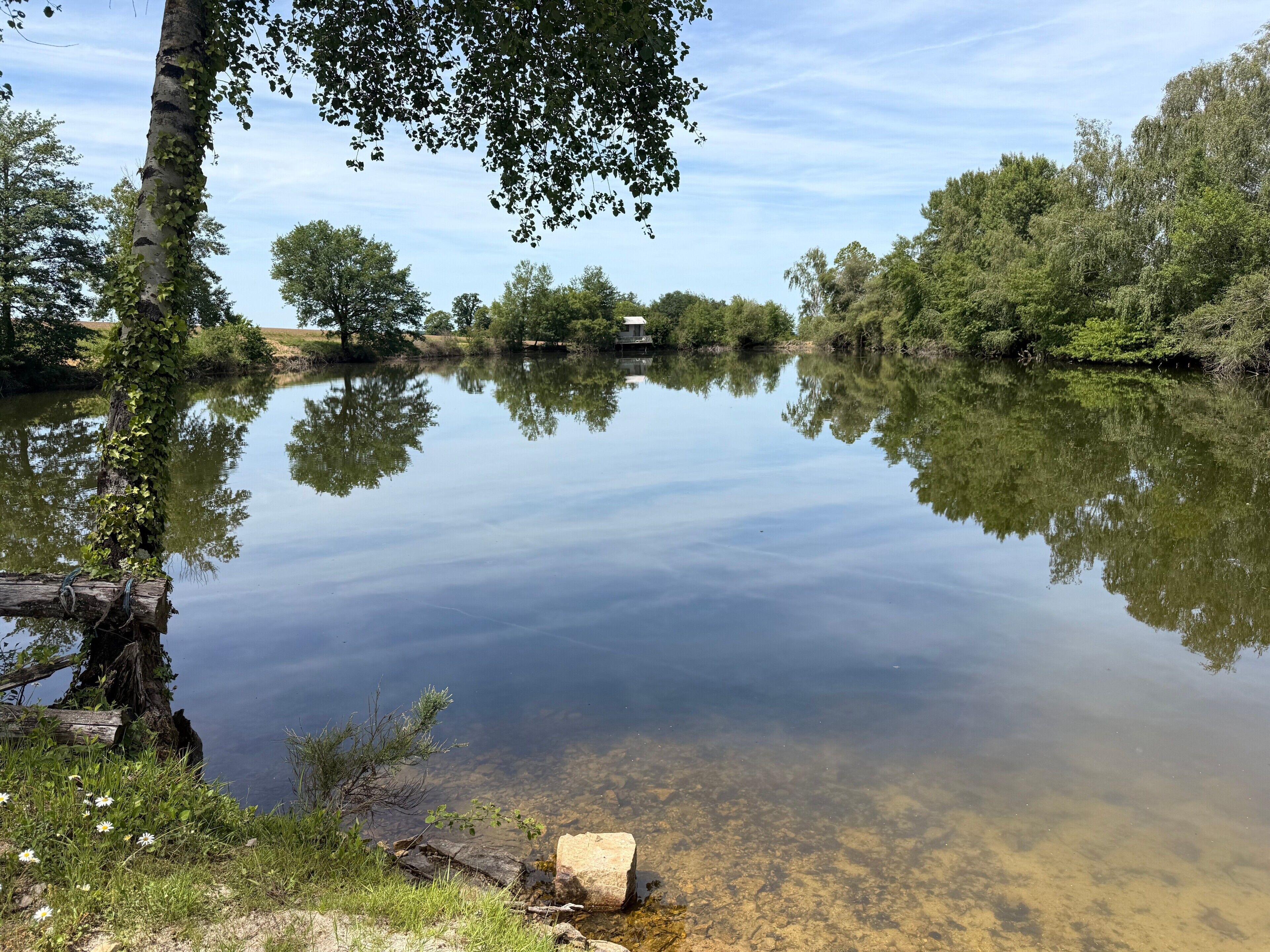 En stilla sjö med träd som speglas i vattnet, omgiven av grönska.