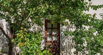 Apartment 'Apartamento Narcea 1' with Mountain View, Private Terrace and Wi-Fi