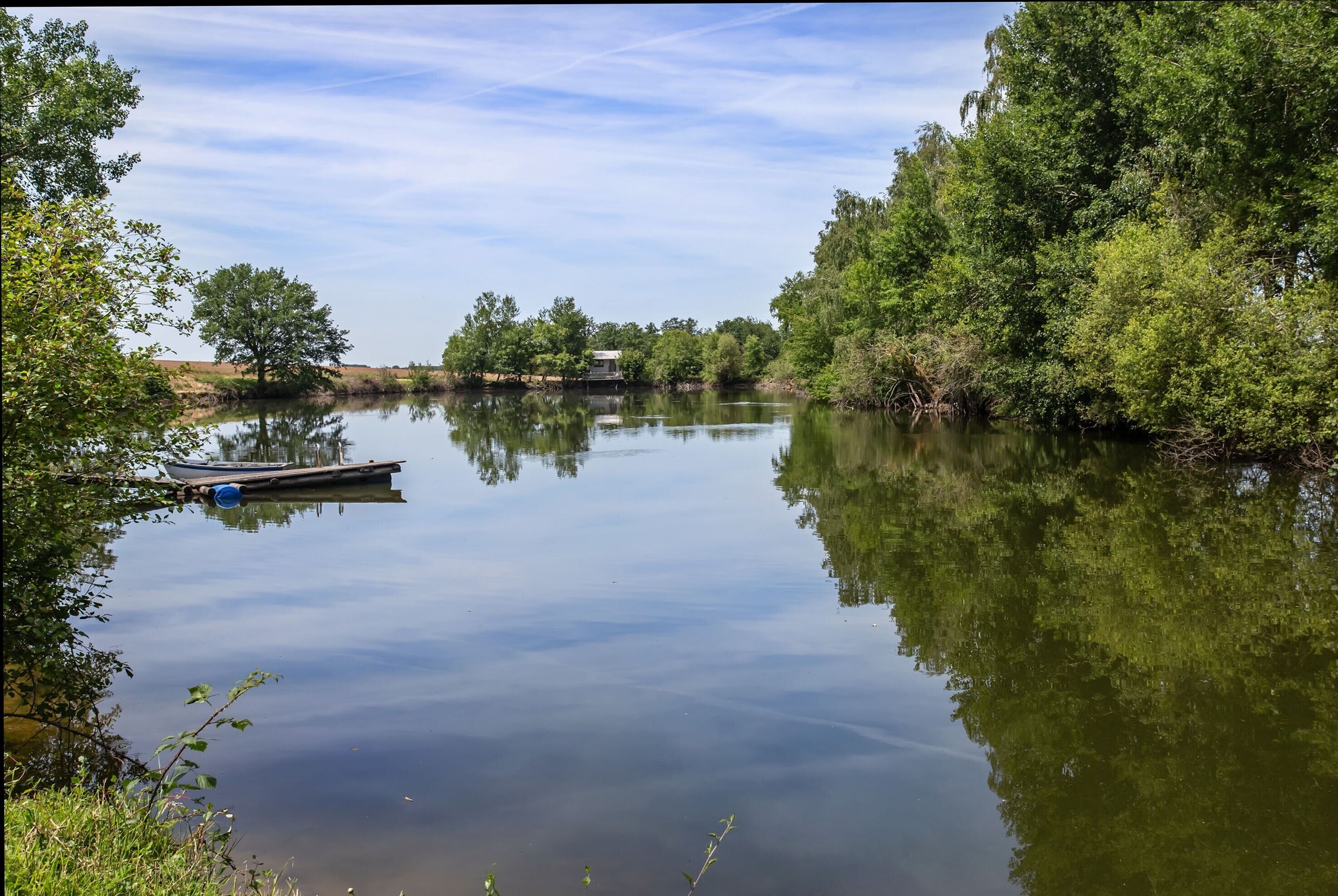 Un lac paisible, avec un quai et des arbres.