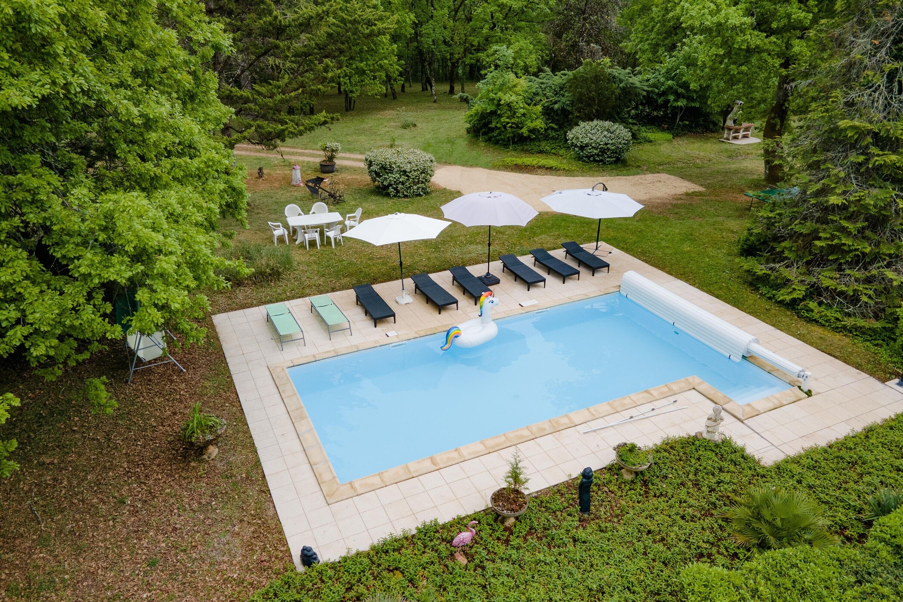 Una piscina rectangular con sillones y sombrillas, rodeada de vegetación y un área de patio.