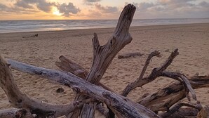 A beach with driftwood and a sunset in the background. - Le Petit Marais – Relaxation for Families with Jacuzzi, Garden, and Air Conditioning (Échiré)