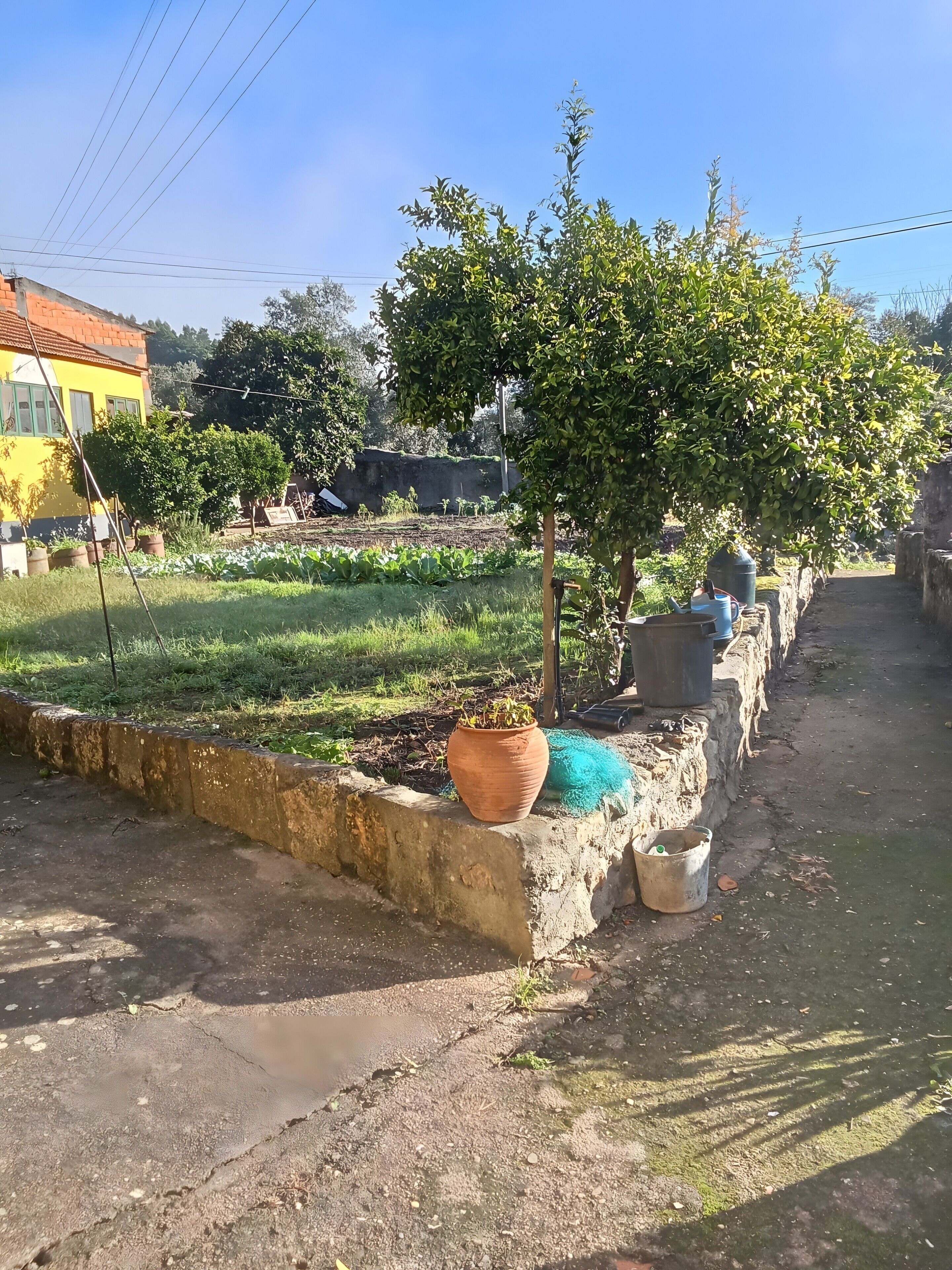 Ambiente rurale con un edificio giallo, un giardino e un vialetto in cemento.