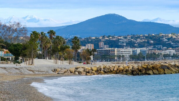 Un paysage urbain côtier avec une rive rocheuse, des palmiers et une montagne en arrière-plan.