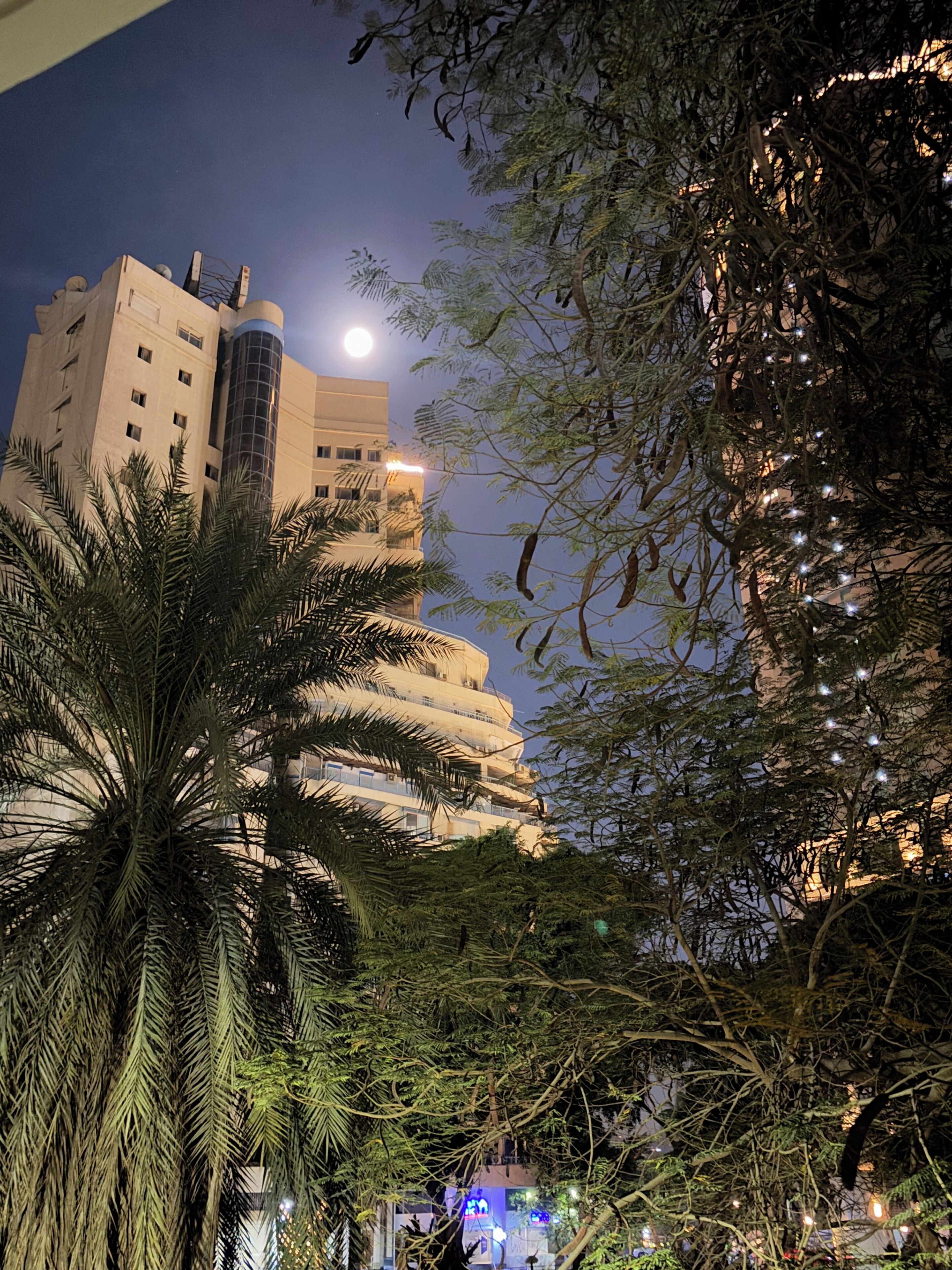 A multi-story building with a prominent cylindrical tower, surrounded by dense foliage and palm trees.