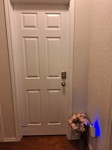 Charming B&B with WiFi and flower garden at entrance view in Enchanting Converse