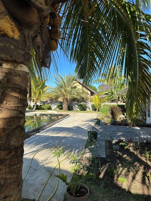 Property grounds - Villa La Savane West coast of Mauritius (Petite Rivière Noire)