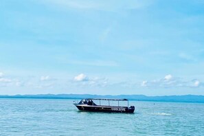 Miscellaneous - Cooldive Semporna (Semporna)