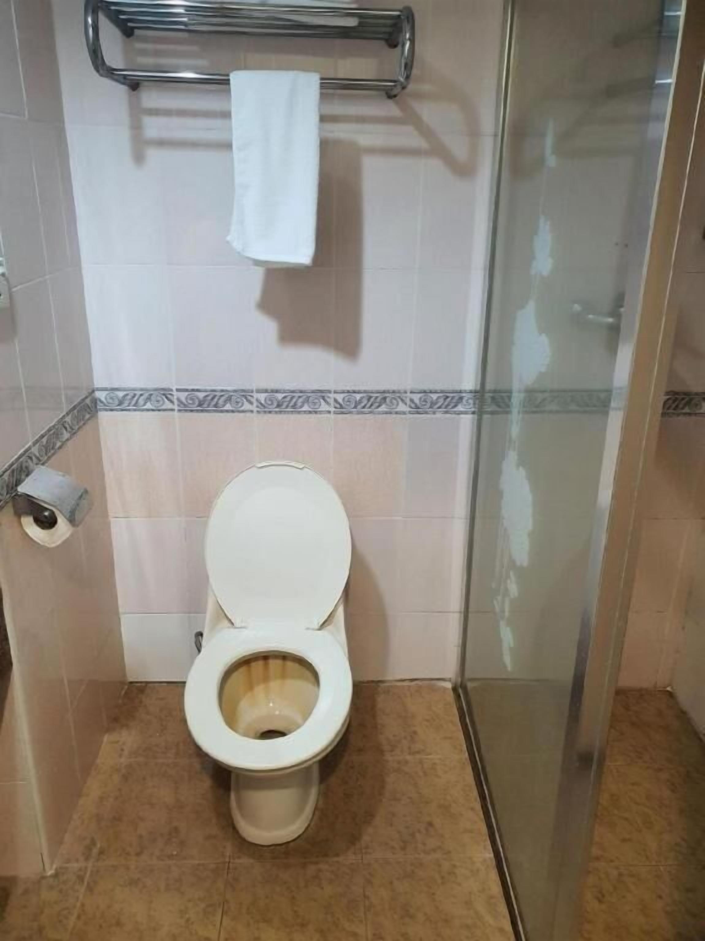 A bathroom with a toilet, a towel rack, and a shower area.