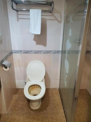 A bathroom with a toilet, a towel rack, and a shower area.