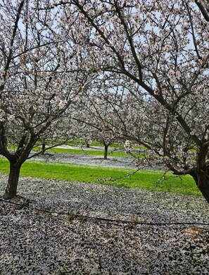 Miscellaneous - Relax on 475 acre scenic ranch, 4-Bed/BR, Surrounded by Nature, 1.5hr -Yosemite. (Le Grand)