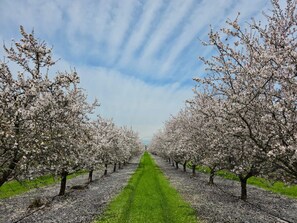 Miscellaneous - Relax on 475 acre scenic ranch, 4-Bed/BR, Surrounded by Nature, 1.5hr -Yosemite. (Le Grand)