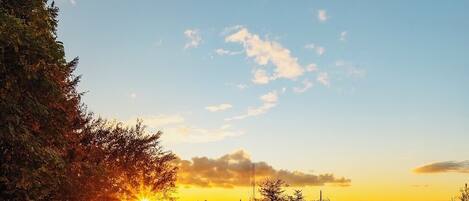 المنطقة المحيطة بالمنشأة