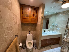 Shower, towels, soap, toilet paper