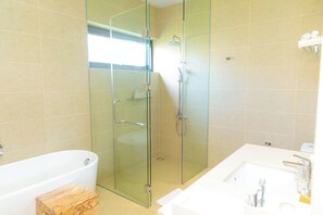 Shower, hair dryer, bidet, towels