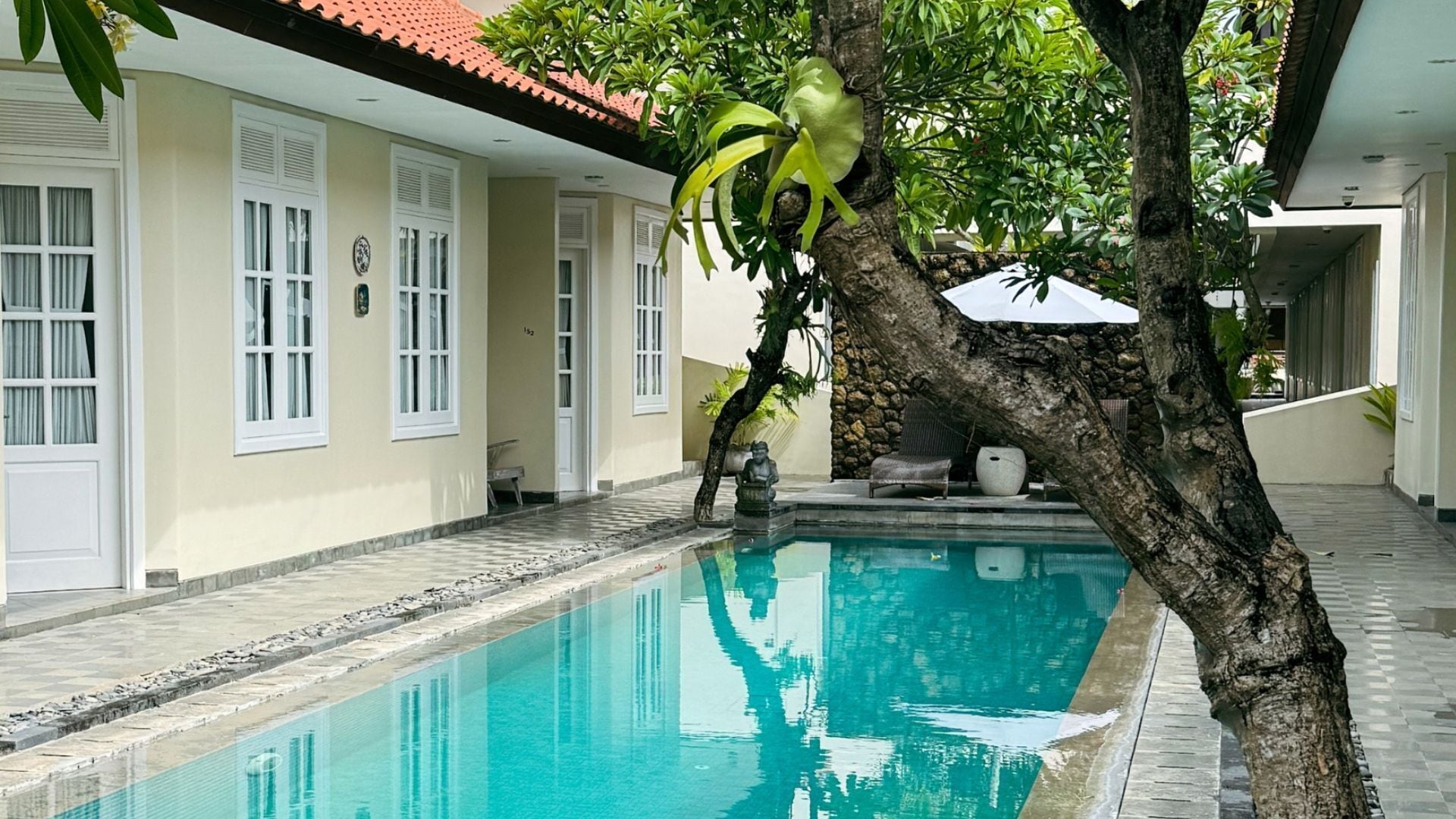A swimming pool with a stone border, a tree, and a building with white doors and windows.