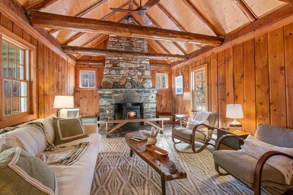 Smart TV, fireplace, books