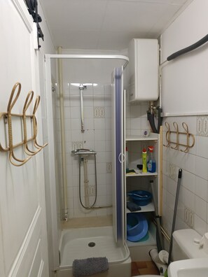 Bathroom features a shower with a glass door and handheld showerhead, a toilet with a bidet attachment, and a shelf with cleaning supplies.