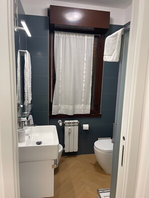 Hair dryer, towels, soap, toilet paper