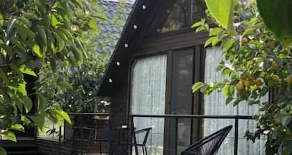 Charming cottages in enchanting Lagodekhi .