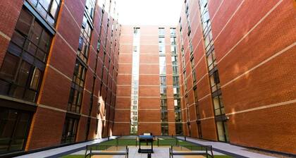 Student Only Great Patrick Street