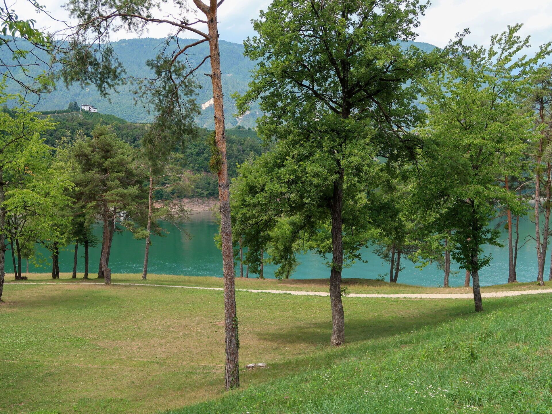 Un parque con un lago y árboles.