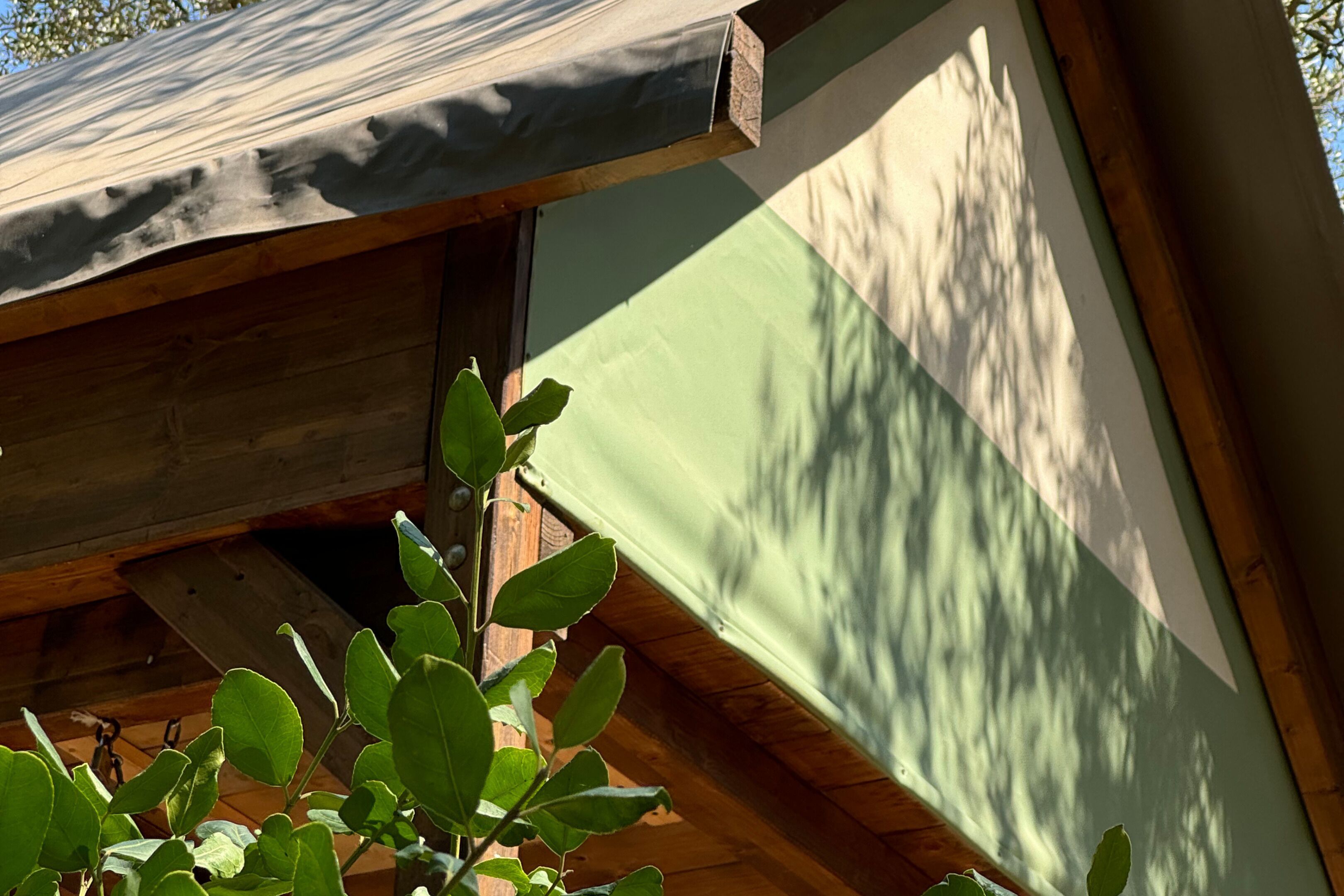 Una struttura in legno con tetto spiovente e parete verde.