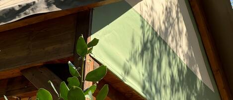 Una struttura in legno con tetto spiovente e parete verde.