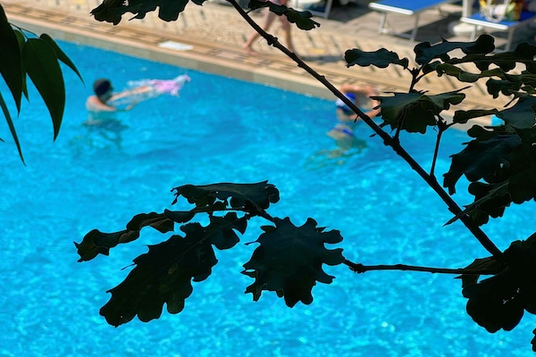Outdoor pool, pool umbrellas, pool loungers