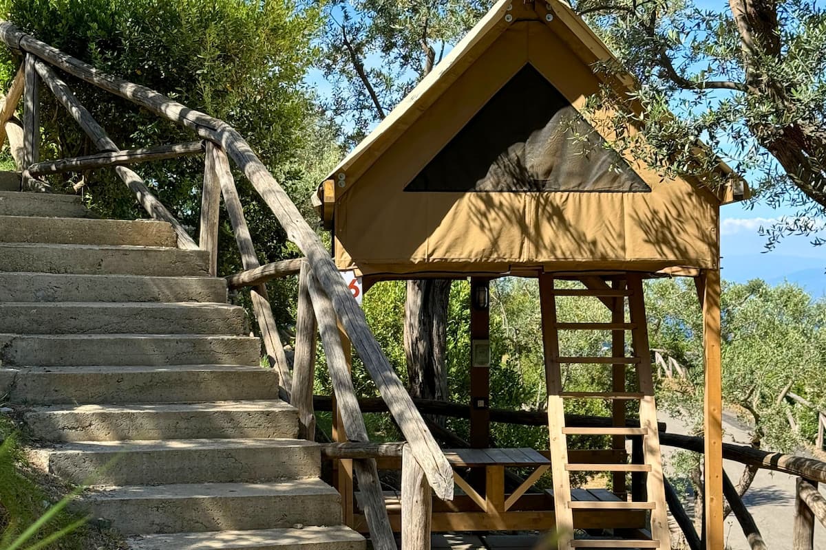 Un escalier en bois mène à une structure en bois surmontée d’un toit triangulaire, et un banc se trouve à sa base.
