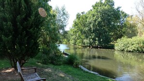 A bench by a pond with trees and greenery around. - Ferienhaus Direkt an der Spree (Lübben (Spreewald))