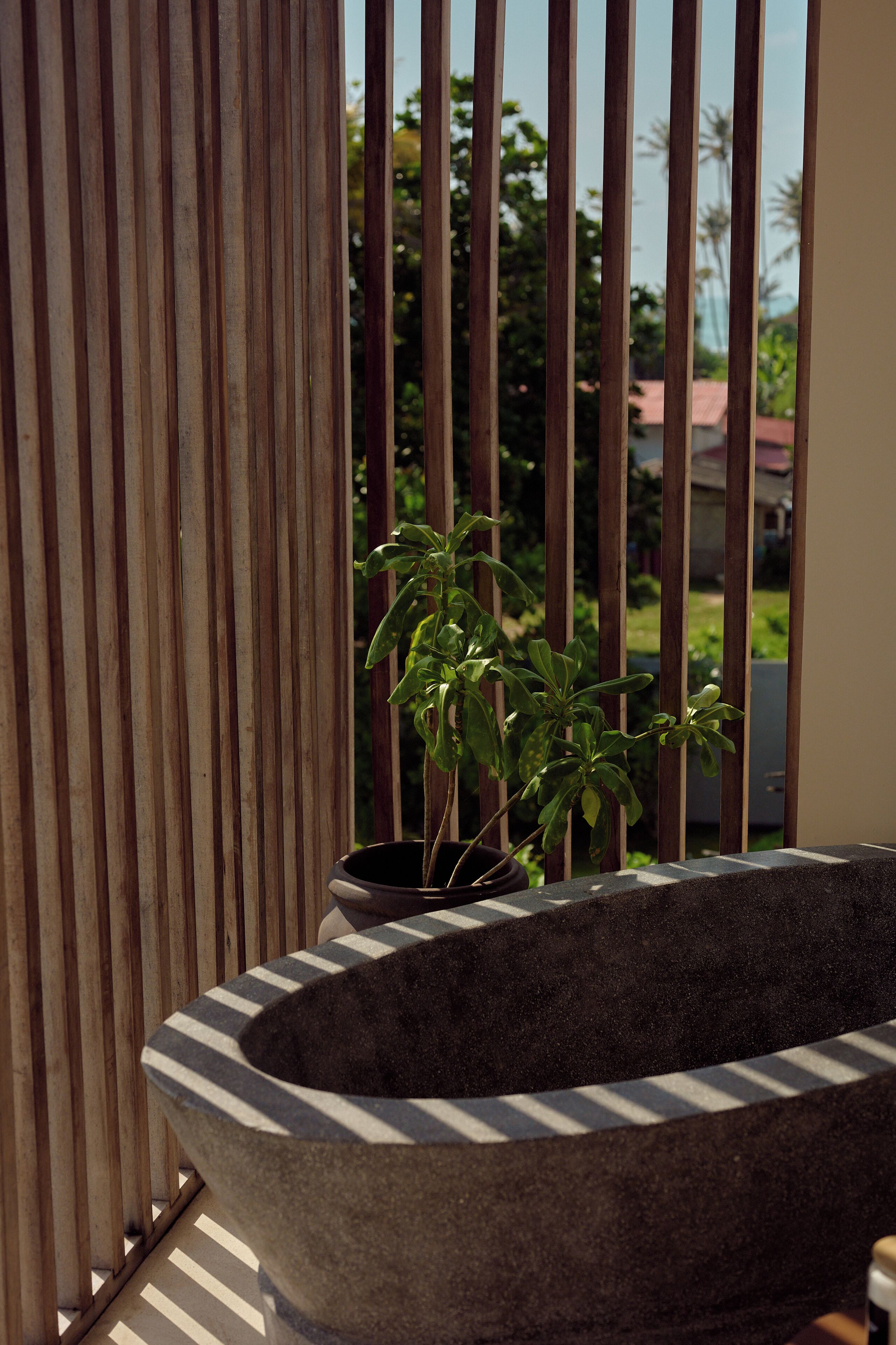 A stone planter with a plant, a wooden fence, and a glimpse of a residential area in the background.
